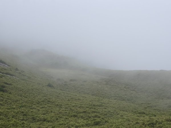 20240927 志雪劍2614932