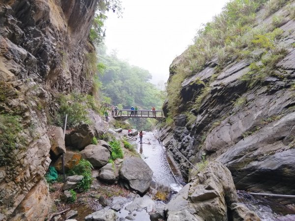 信義~悠然古道處處迷人八通關雲龍瀑布步道972813