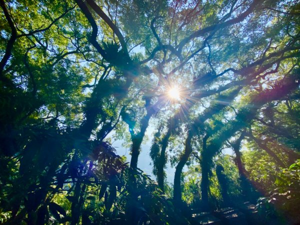 阿拔泉山稜步道走獨立山1618696