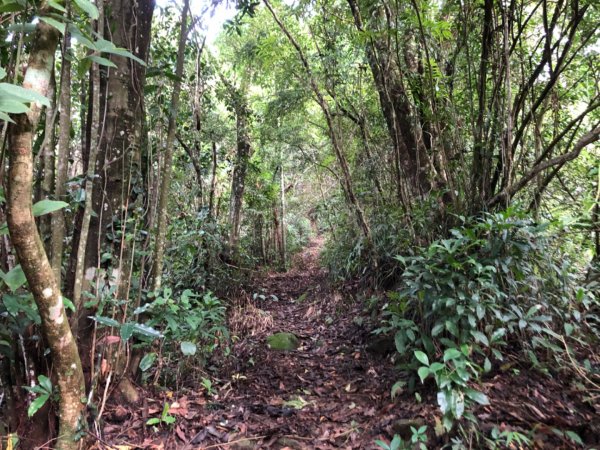 嘉義水社寮走石盤巃山圓潭巃山四天皇山1022457