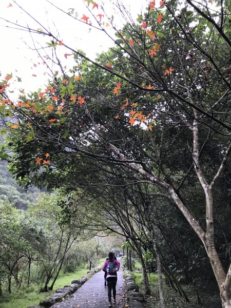 109年12月12日 新北 滿月圓森林遊樂區1365662