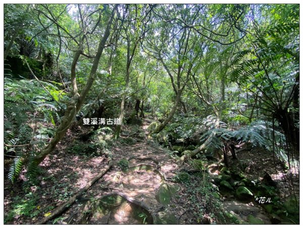 臺北大縱走第四段 風櫃嘴至捷運大湖公園站3079943
