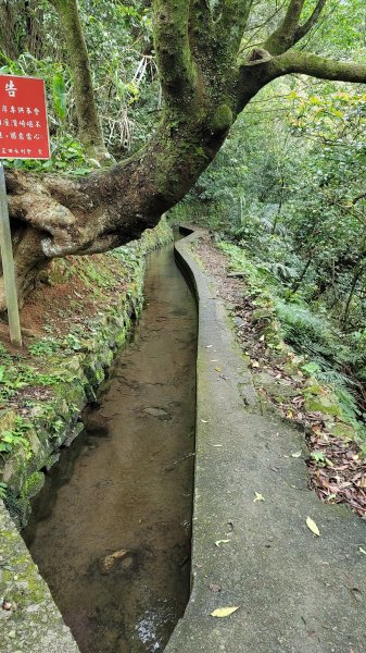 坪頂古圳步道2089578