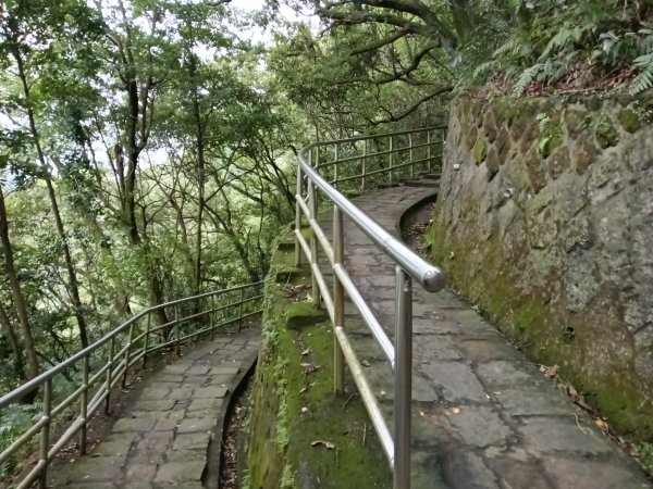 內湖區大湖公園+白鷺鷥山2931143