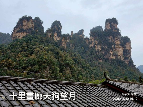 2025/11/8-10張家界園區2939346