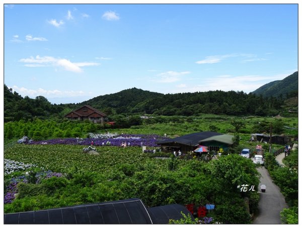 竹子湖/頂湖環狀步道986712