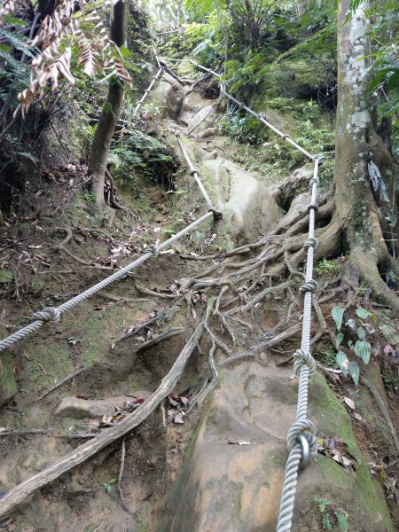 猴山岳步道→二格山(小百岳#17)→草湳大榕樹→岐山古道大Ｏ路線 (2021/4/2)1406848