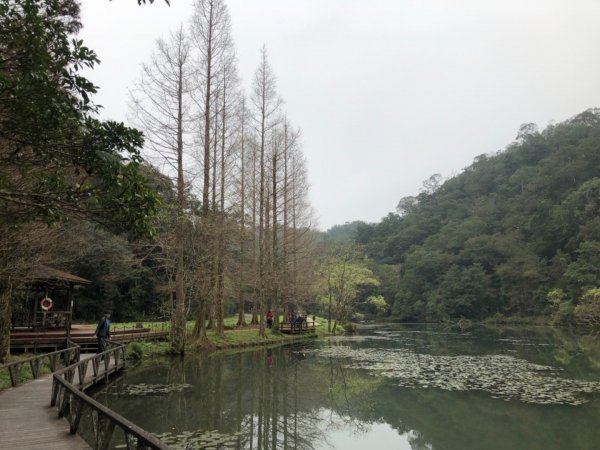 福山植物園511068