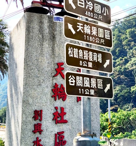 【中級山】有熊森林，谷關三雌白冷山2741081