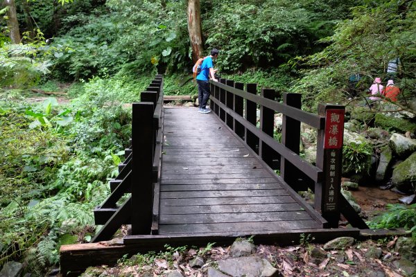 桃園復興區  東卡O縱2823847