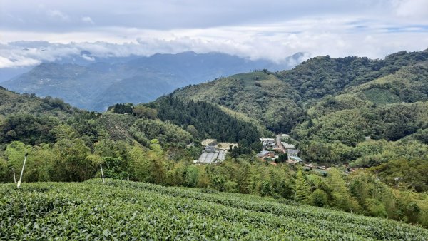 20240523嘉義梅山梨子腳山-太平老街-太平雲梯吊橋2511299