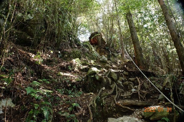 臺中 和平 稍來山1597386