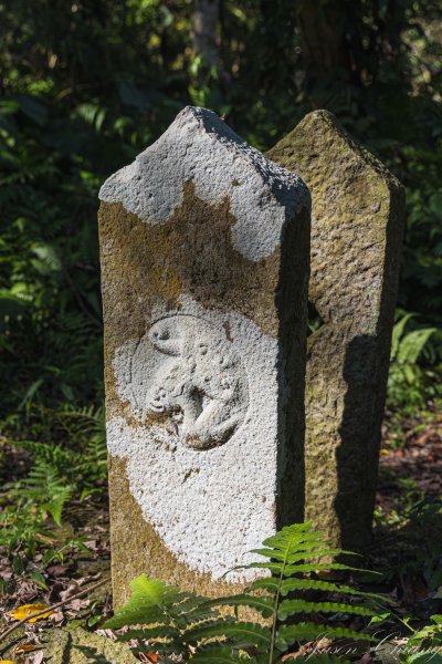 [台北]紗帽山2956592