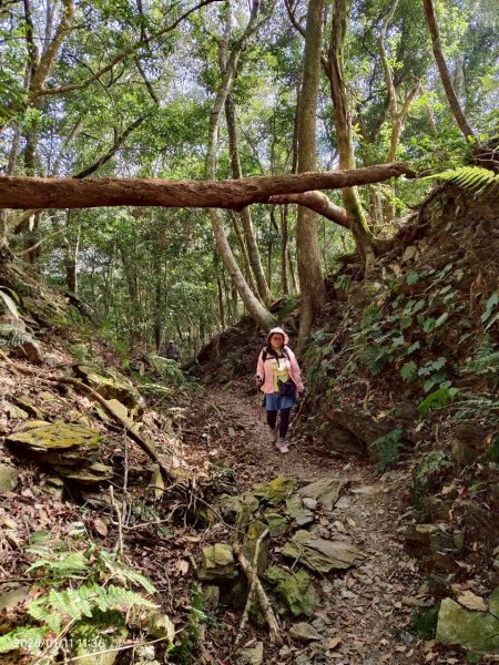 🌈1/11（日）六龜警備道~小百岳~鳴海山×網子山✨FB：熊熊趴爬走🌈2980529