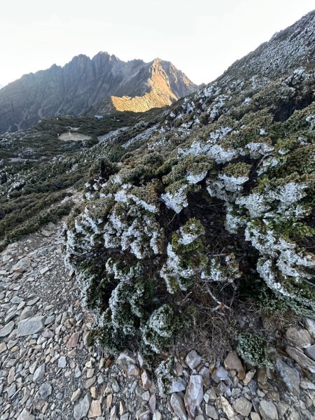 2024/12/20~12/22 帶76歲爸爸補考被山陀兒颱風趕下山~未竟的南玉山，2024完成玉山2675148