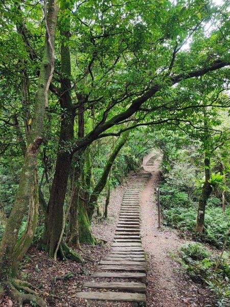 姜子寮山-小百岳#11-基隆市七堵區2248508