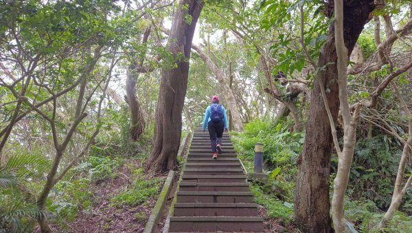(姨婆趴趴走)第五十二集:新北新店攀登和美山及灣潭山2761086