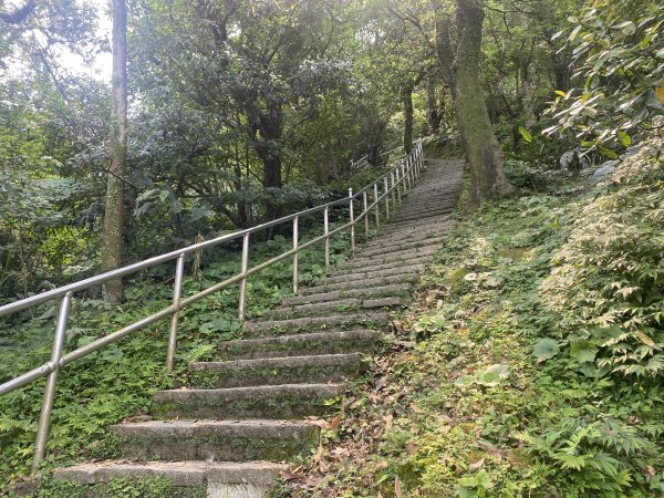 《城市與山的交界線｜大尖山連走四分尾山》O繞路線＋秀峰瀑布＋遇見養蜂人🐝3056645