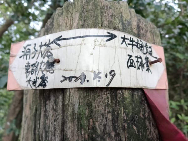 基隆市三層山+湳子大崙+淡基橫斷古道+面桶寮土地公2982258