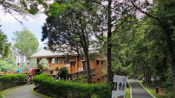 阿里山森遊區-祝山,對高岳步道2537007