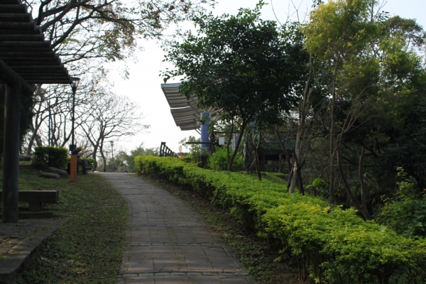 20170107台灣桃園虎頭山步道90636