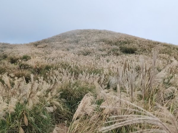 磺嘴山-陽明山國家公園申請路線~12411362