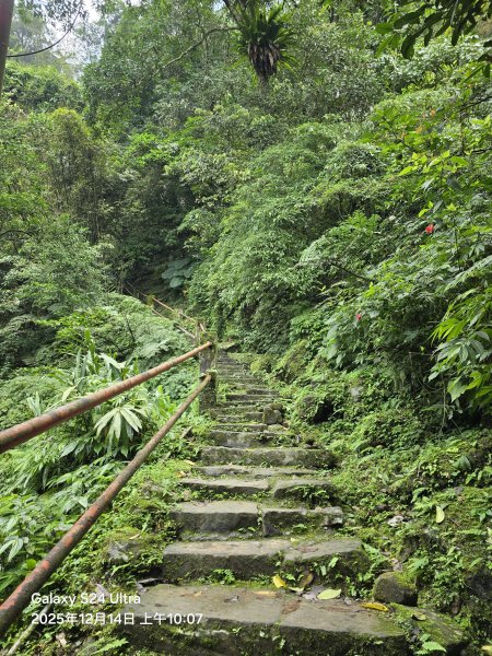 2025-12-14微笑山線：【二格山系】銀河洞越嶺段2962129