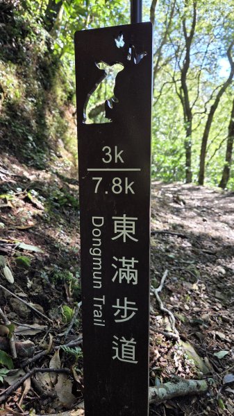東北季風起遊走雲瀑和山毛櫸間的啦卡山與北插天山登山行2951099