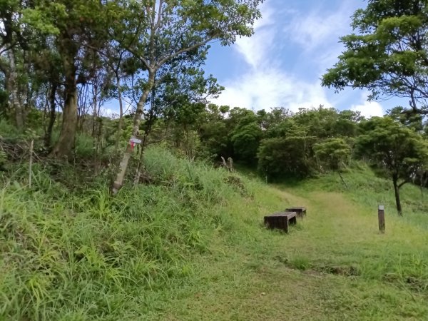 坪林區司公髻尾山+虎寮潭吊橋+粗石斛吊橋+大舌湖步道+漁光派出所2794287