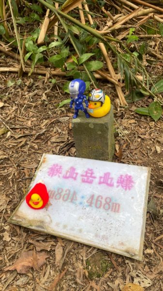 銀河洞越嶺貓空-新高麗坑山-銀獅縱走-猴山岳群峰+三條魚縱走2765330