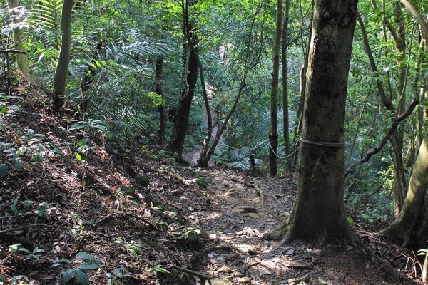 鳶山.福德坑山.鳶山東峰.鳶尾山O型330721