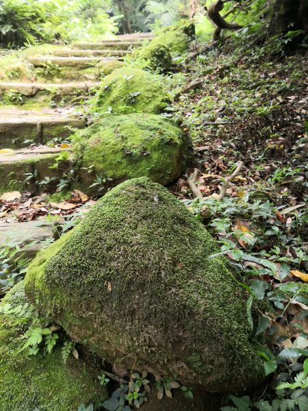 包子的小百岳健行筆記-土庫岳323112