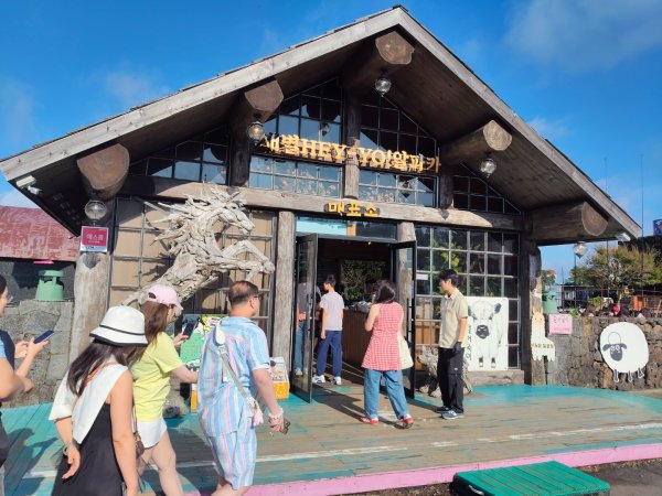 韓國濟州島：羊陀牧場：小羊肖恩2912541