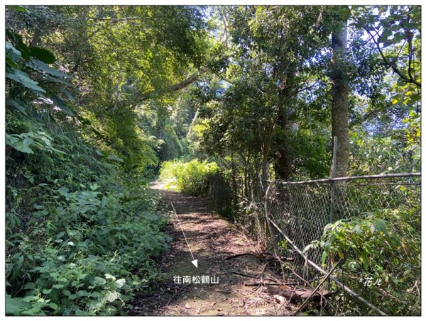 南松鶴山～八仙山 (台中 和平)2926068