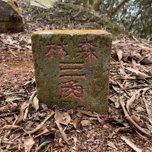 20250228屏東達洼蘭山-下達洼蘭山2732880