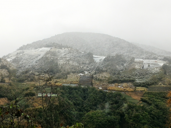 拉拉山之雪263168