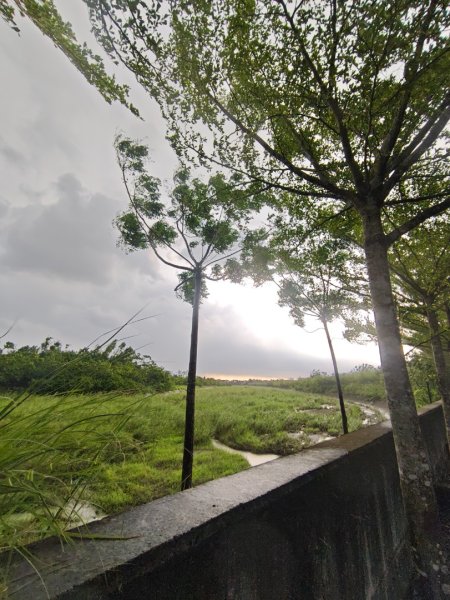 白河店仔口景觀公園2877455