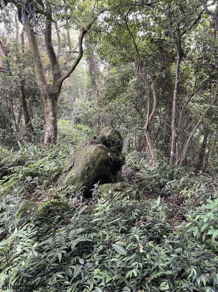 地震後石牛山2480426