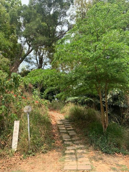 20210405大崗山走走1337945