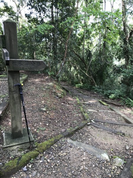 小百岳 編號89號 鯉魚山893503