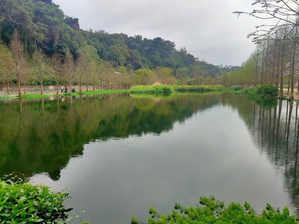 大溪［山豬湖生態園區］+［中庄吊橋］2231688