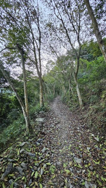【尾寮山靜修日：一人一山，一念清明，山無語，我自省】🌿2937938