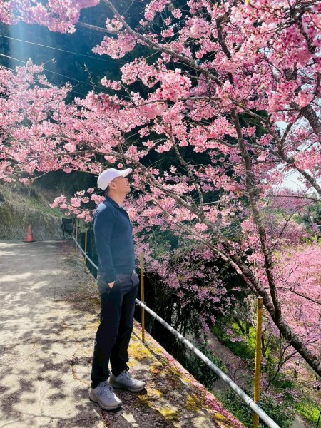 桃園 復興 巴陵 恩愛農場3011868