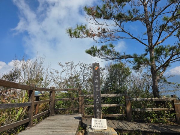 東卯山／東卯山西峰+賞山櫻花2715995