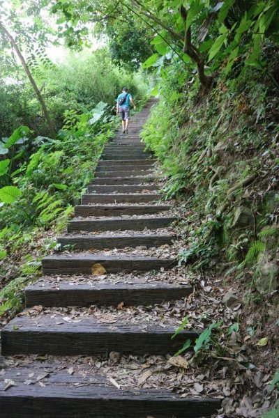 〔北投〕半嶺吊橋 半嶺水圳古道 半嶺瀑布 松溪瀑布。剛完工不久，滿滿森林芬多精的半嶺水圳步道2220910