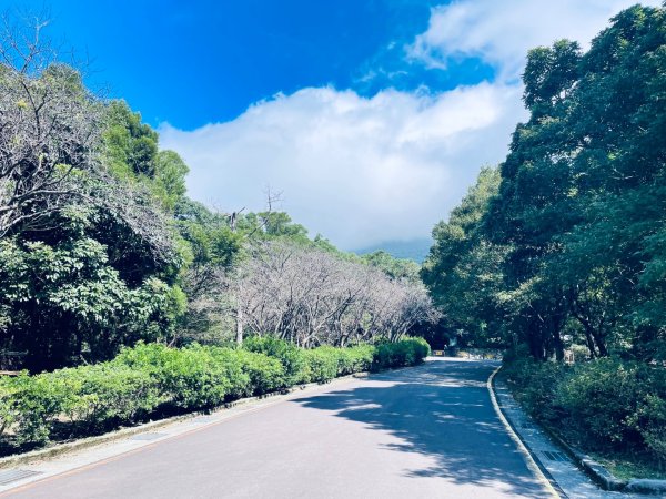 20261009 菁苗步道（苗圃登山口-菁山自然中心-前山公園）3133894