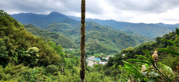 桃園東眼山，親子峰，尾寮崎古道，小角仔古道，街口溪步道，三峽阿屘尖，神木尖，牛角尖，牛角坑山2098463