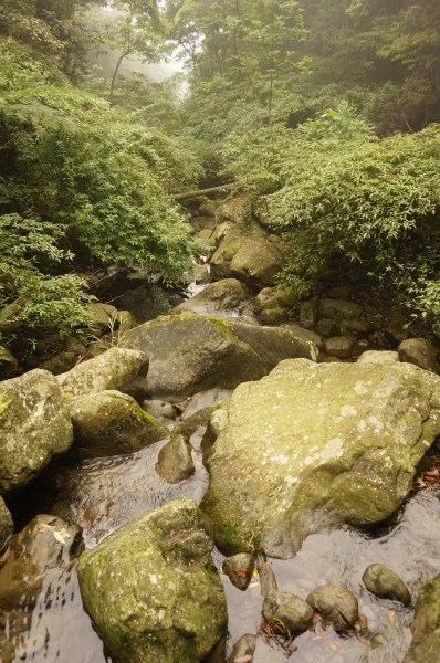 馬武督外鳥嘴山87332