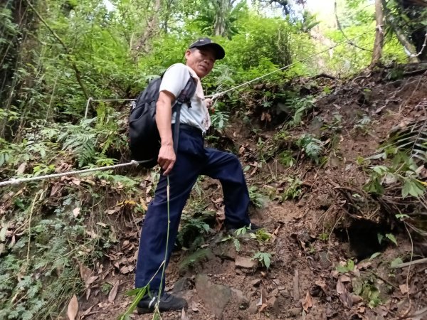 雙溪區威惠廟+下坑山+570峰+大埤格+崩山坑古道O型2814828