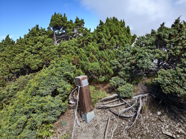 北一段(11/14)南湖北峰 2025_0906~132887365